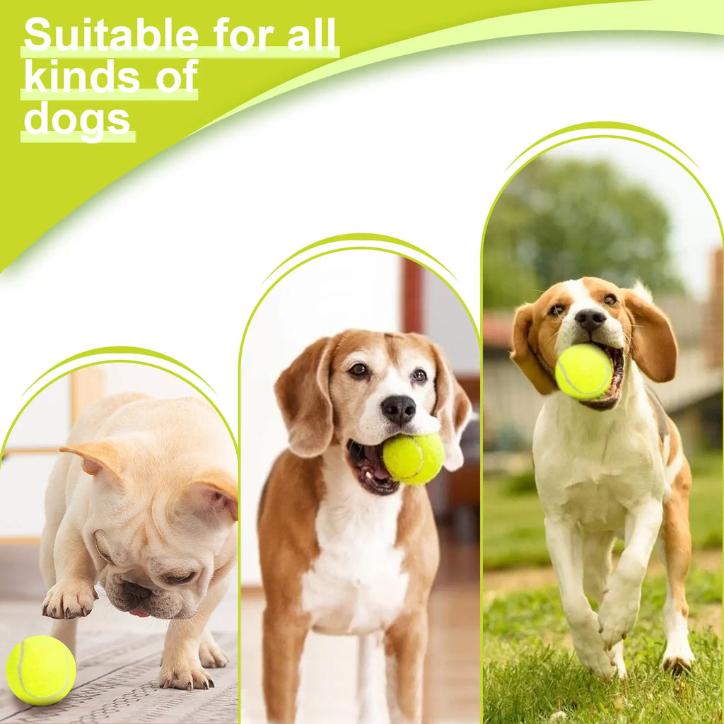 Lanzador Automático de Pelotas para Perros Pequeños, Recargable, Lanza Pelotas de Tenis, 3 Distancias, Juguete Interactivo para Mascotas
