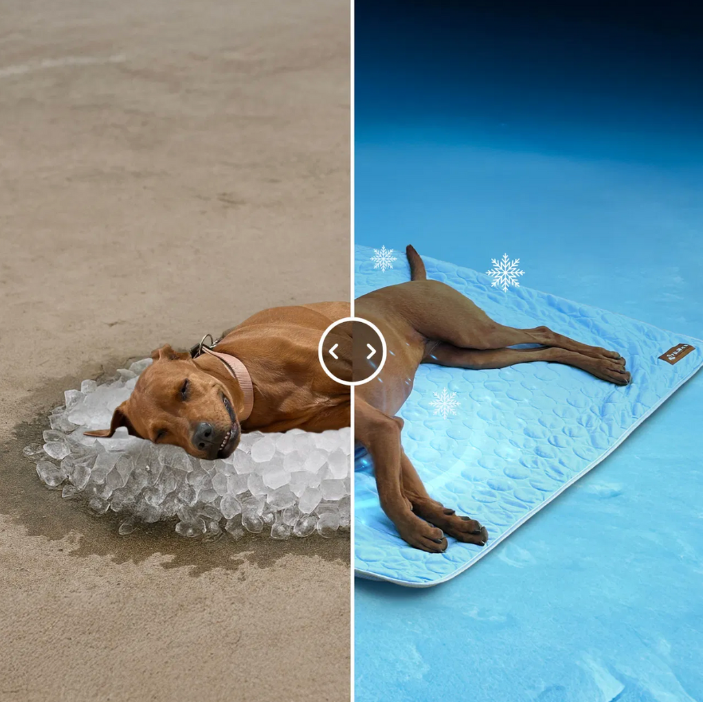 Alfombra Refrescante de Verano para Mascotas | Seda Helada