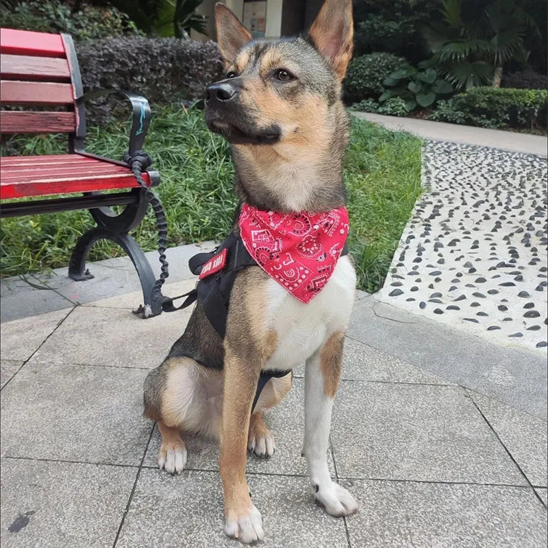 Bandana Ajustable para Mascotas | Estilo y Comodidad