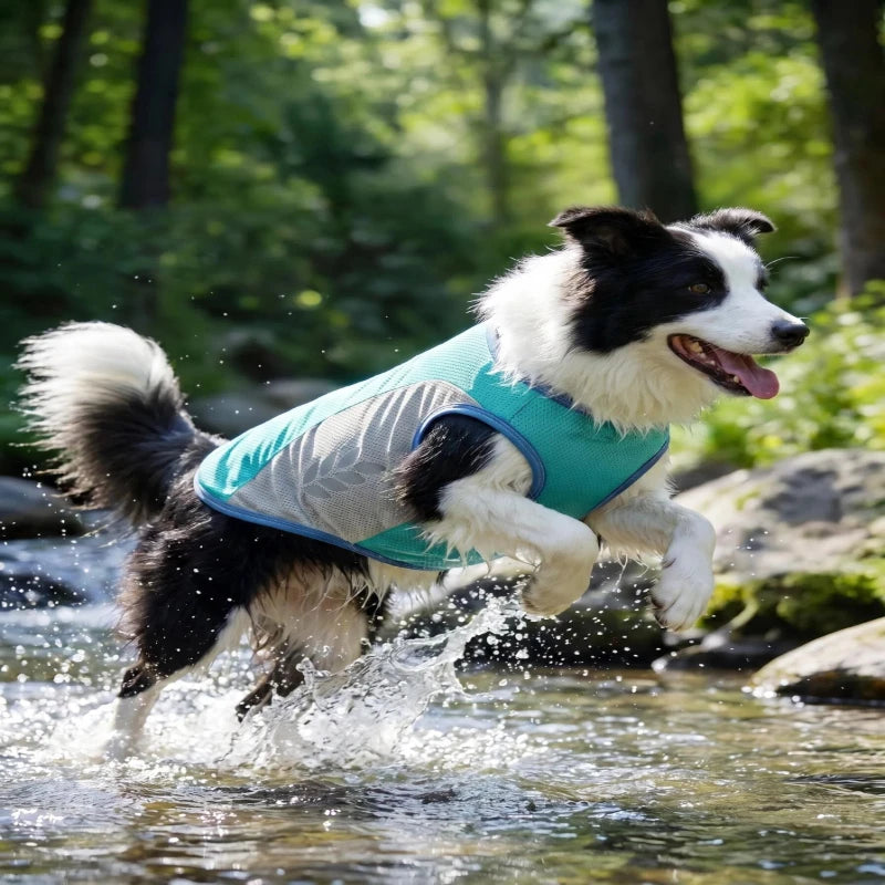 Chaleco Refrescante para Perros | Verano 2025