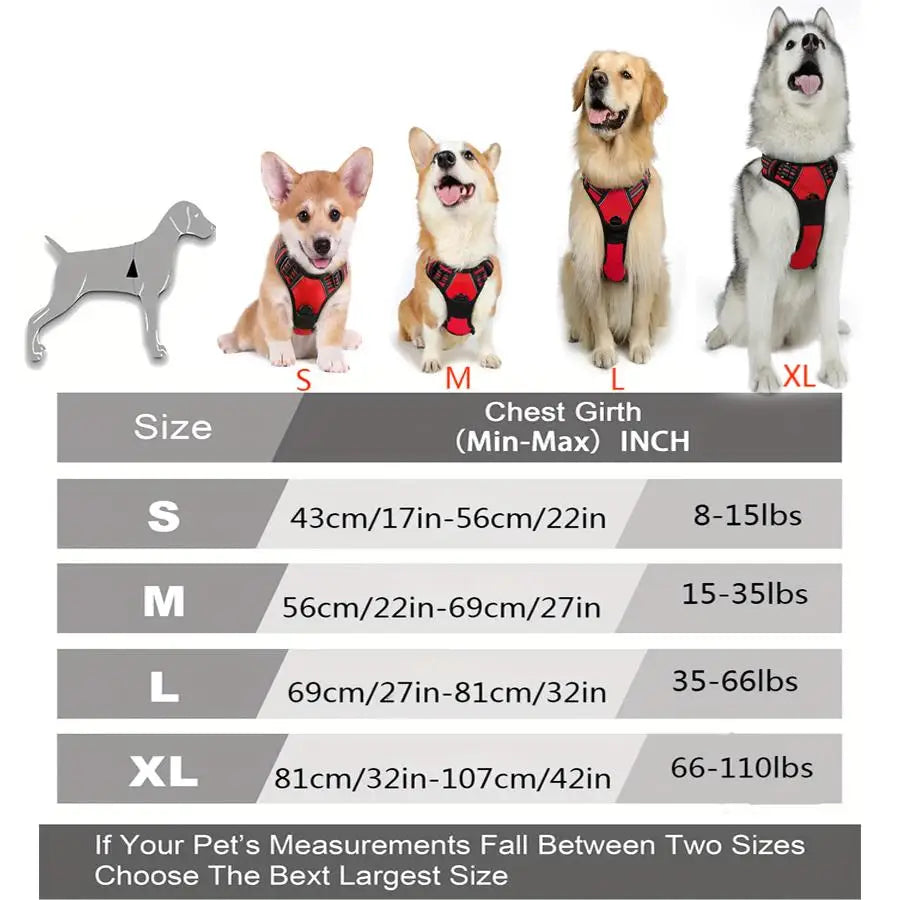 Arnés Reflectante Sin Tirones para Perros | Control Fácil