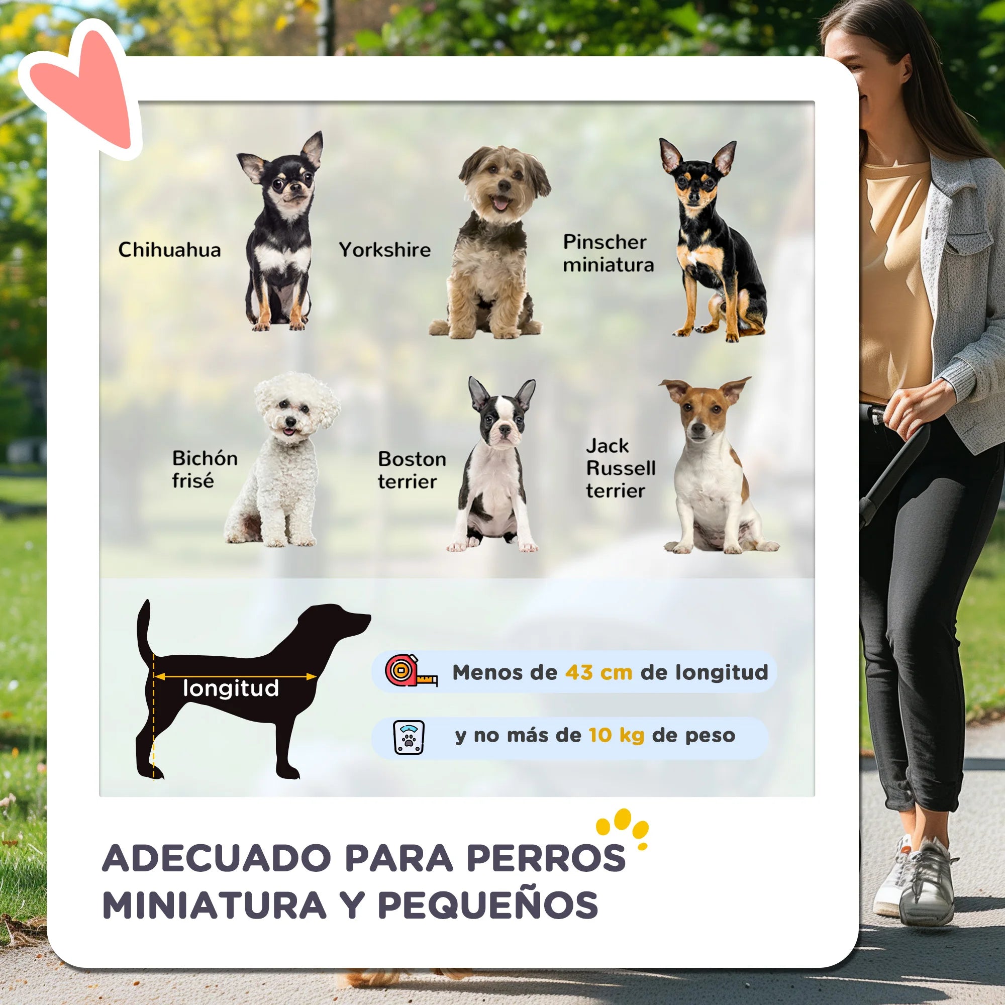 PawHut Cochecito para Perros Plegable con Ruedas Universales
