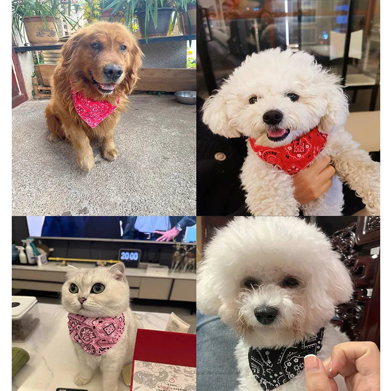 Bandana Ajustable para Mascotas | Estilo y Comodidad