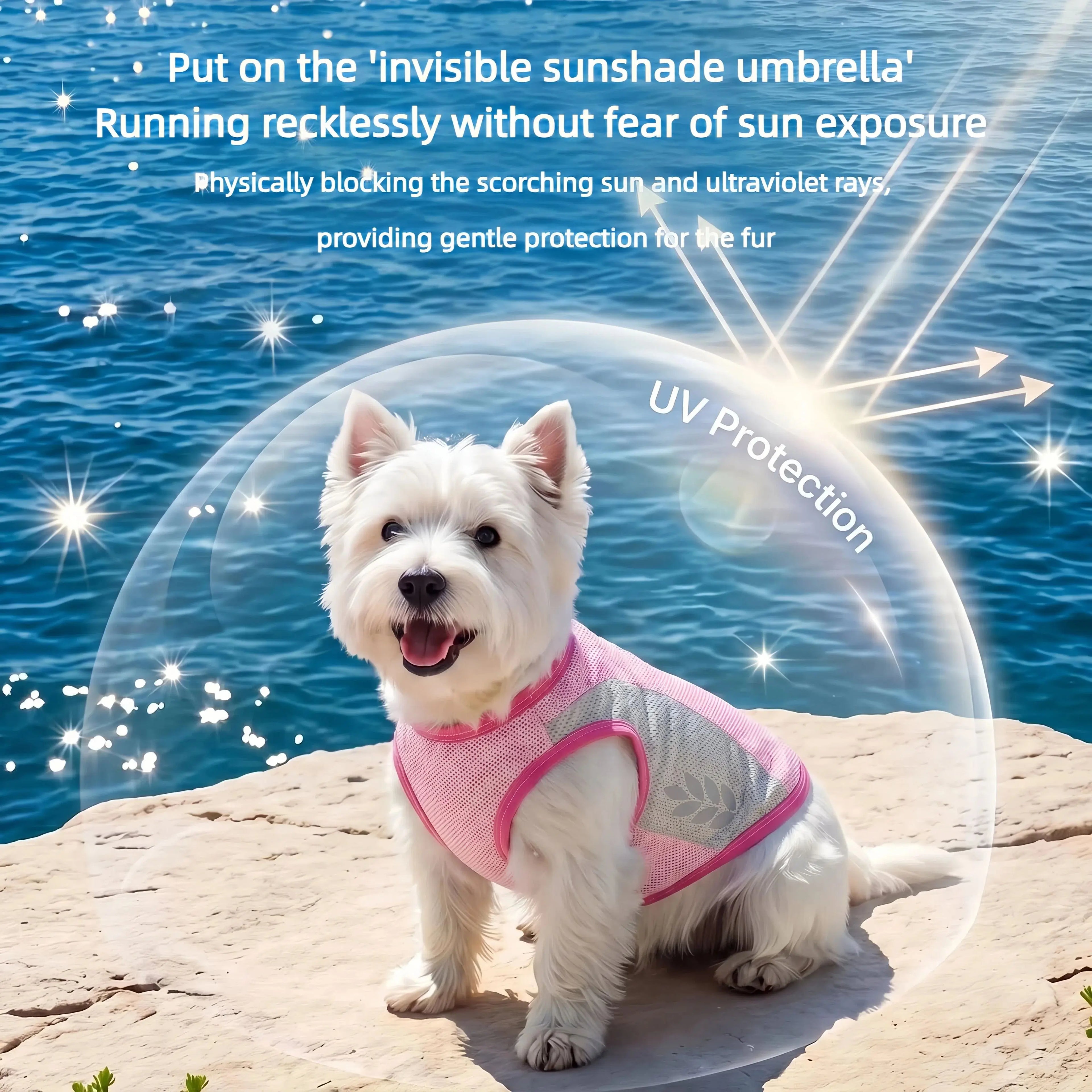 Chaleco Refrescante para Perros | Verano 2025